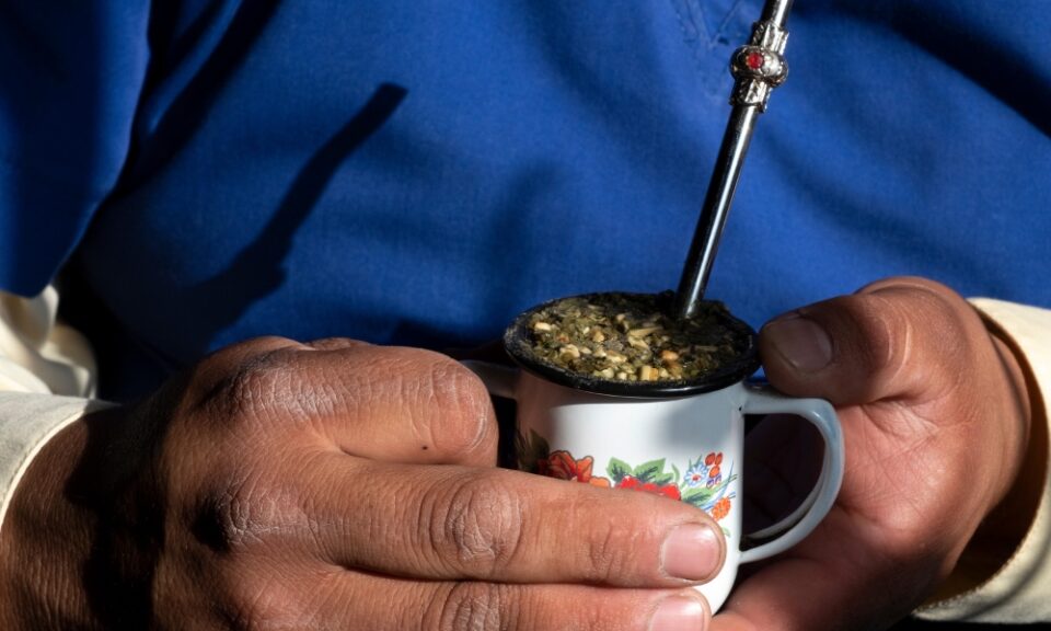 Yerba-Mate